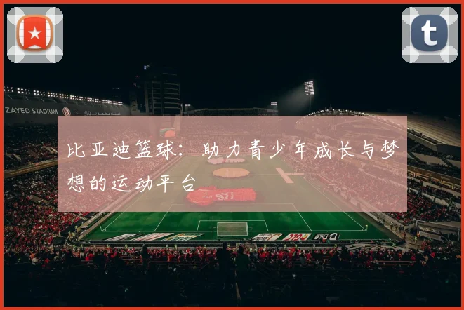 比亚迪篮球：助力青少年成长与梦想的运动平台