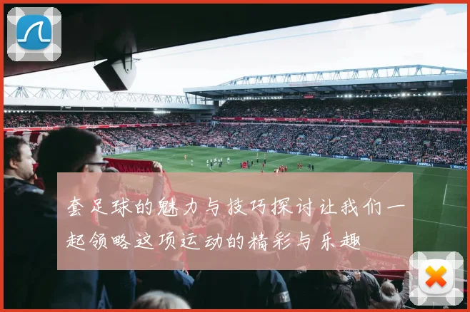 套足球的魅力与技巧探讨让我们一起领略这项运动的精彩与乐趣