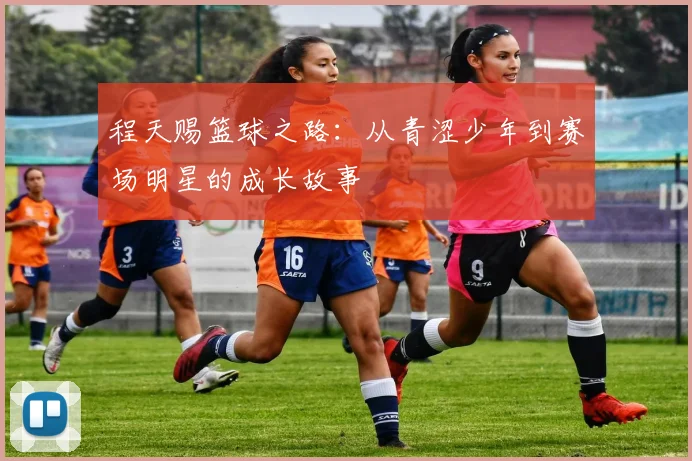 程天赐篮球之路：从青涩少年到赛场明星的成长故事