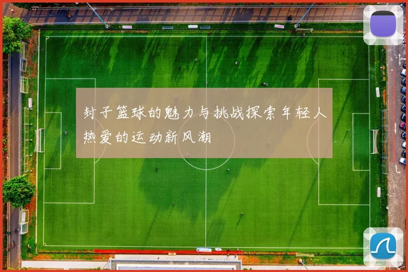 封子篮球的魅力与挑战探索年轻人热爱的运动新风潮