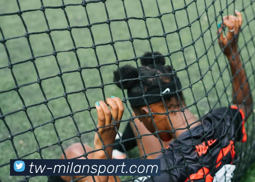 米兰体育中国APP 封面图